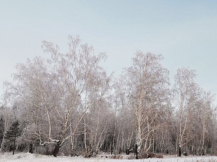 6 (700x525, 194Kb)