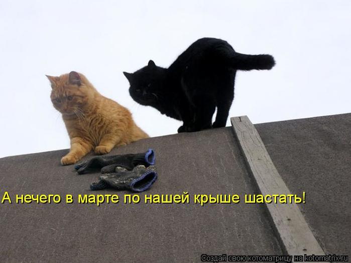 4743317_kotomatritsa_RR (700x524, 41Kb)