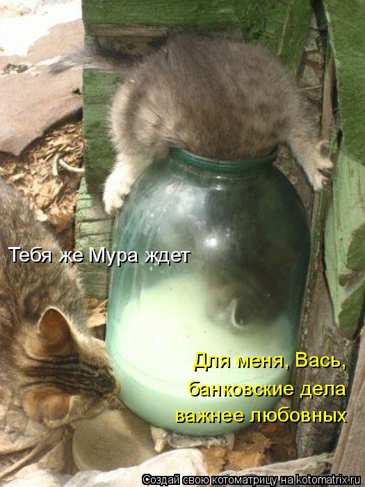 4743317_kotomatritsa_B_1 (525x700, 64Kb)