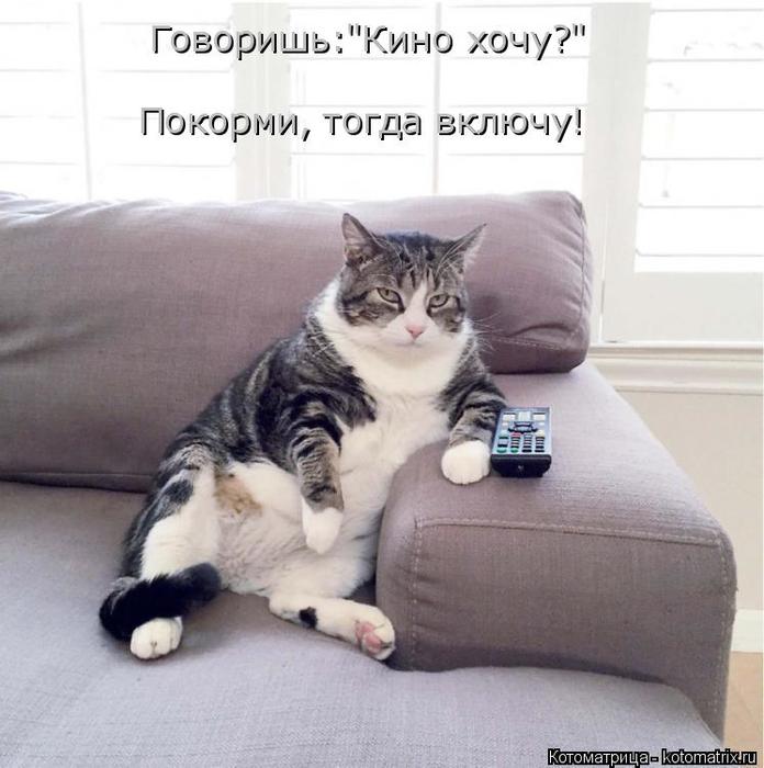 4743317_kotomatritsa_c (696x700, 55Kb)