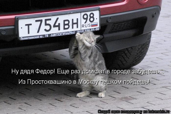 4743317_kotomatritsa_P (700x468, 55Kb)