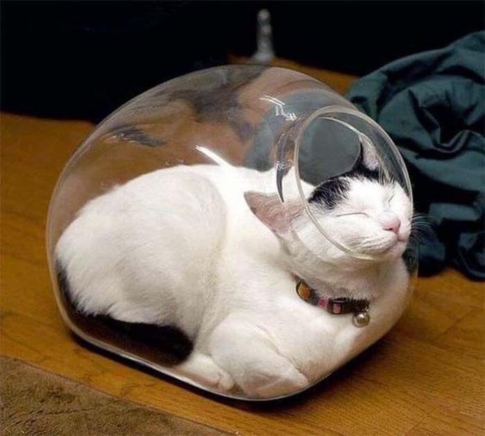 человеку не понять.jpg5 (700x630, 67Kb)