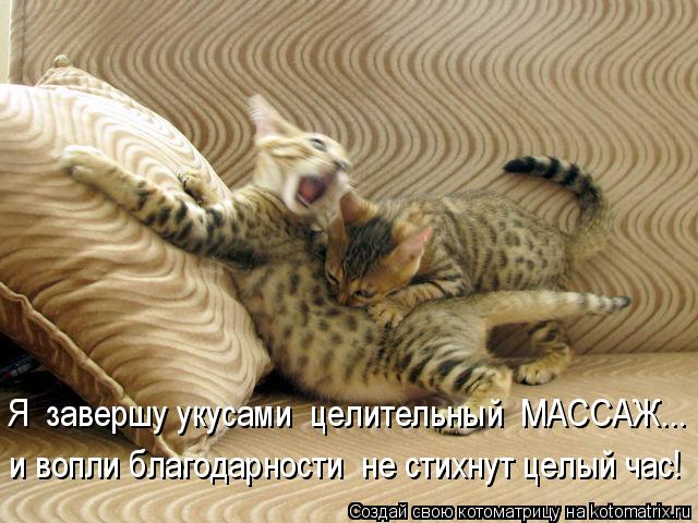 4743317_kotomatritsa__U (640x480, 63Kb)