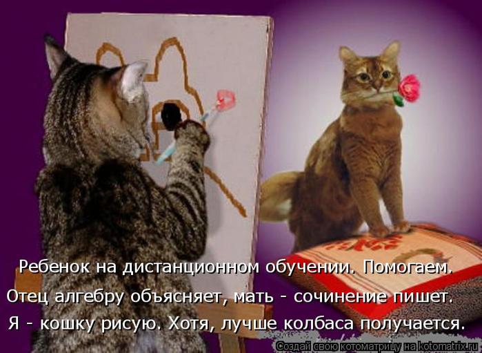 4743317_kotomatritsa_y (700x511, 58Kb)