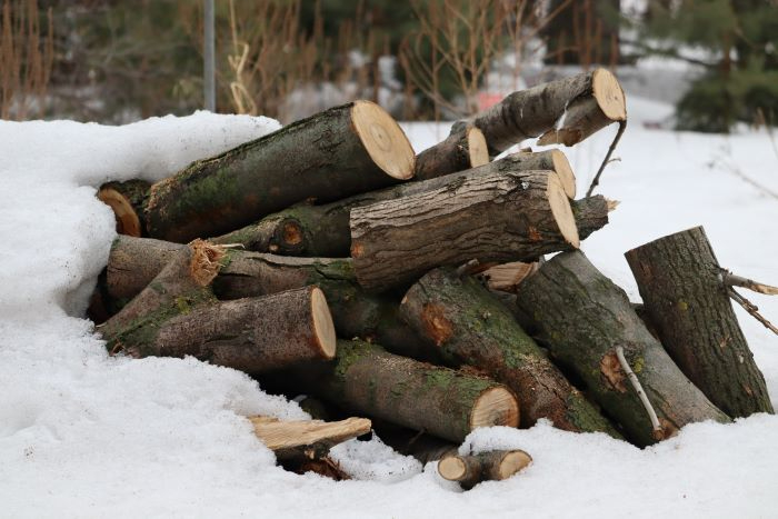 IMG_7307 (700x467, 200Kb)