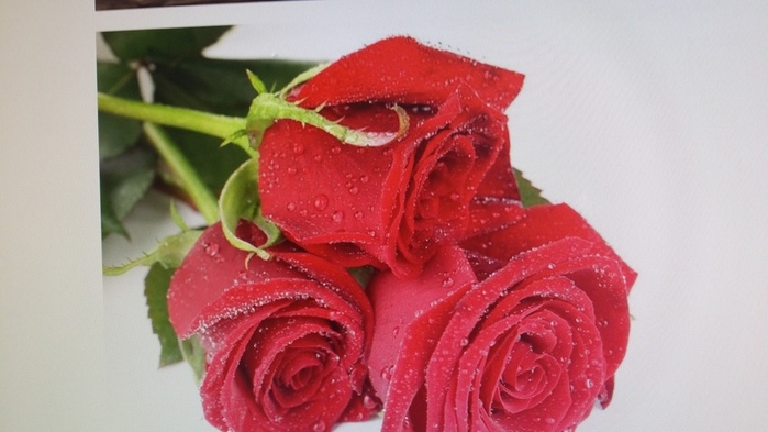 20150128_125952 (700x393, 96Kb)