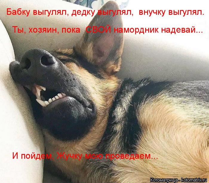 4743317_kotomatritsa_6 (700x612, 90Kb)