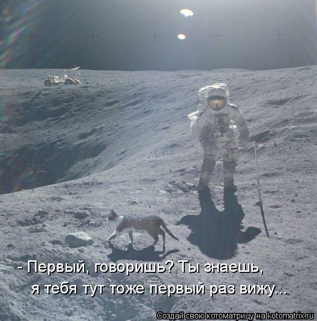 4743317_kotomatritsa_r (633x640, 76Kb)