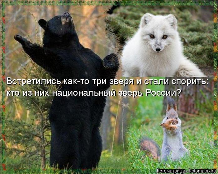 4743317_kotomatritsa_N_1 (700x560, 77Kb)