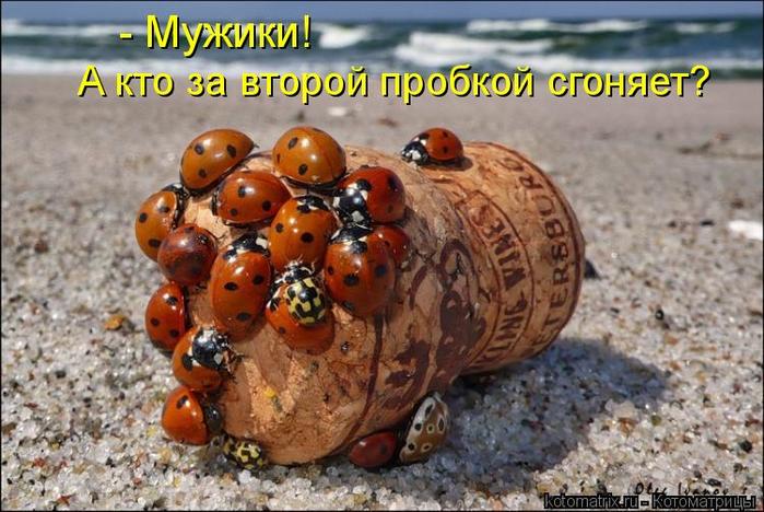 4743317_kotomatritsa_b (700x468, 69Kb)