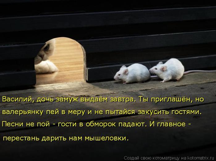 4743317_kotomatritsa_3 (700x524, 49Kb)