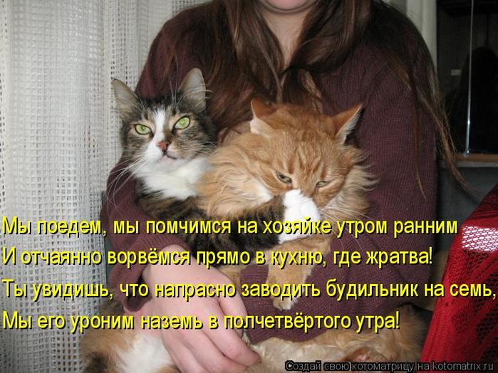4743317_kotomatritsa_G (700x524, 78Kb)