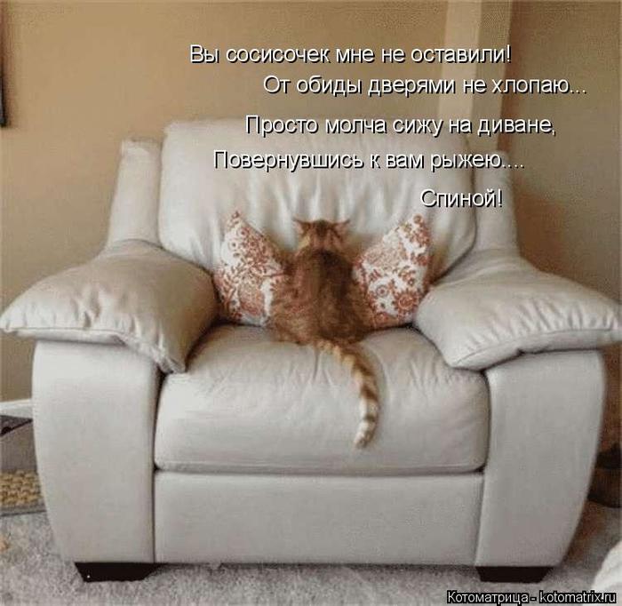 4743317_kotomatritsa_R (700x682, 58Kb)
