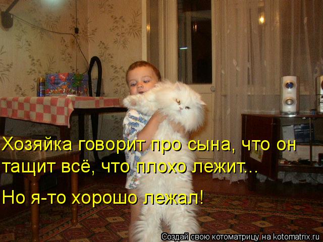4743317_kotomatritsa_a (640x480, 61Kb)