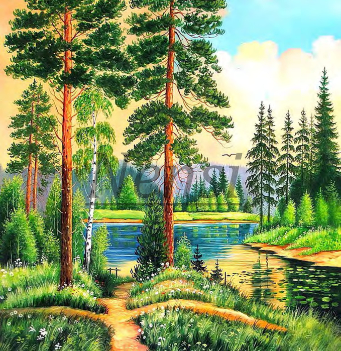 5158349_letniy_den_v_lesu_a-01 (679x700, 721Kb)