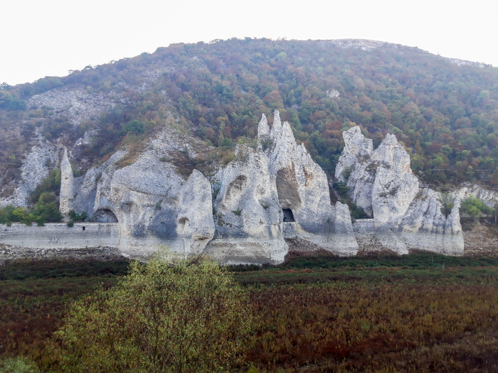 20200927_084654 (700x525, 468Kb)