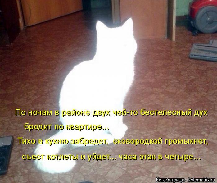 4743317_kotomatritsa_h6 (700x589, 58Kb)