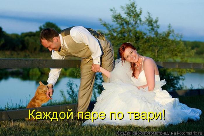 4743317_kotomatritsa_84 (700x466, 52Kb)