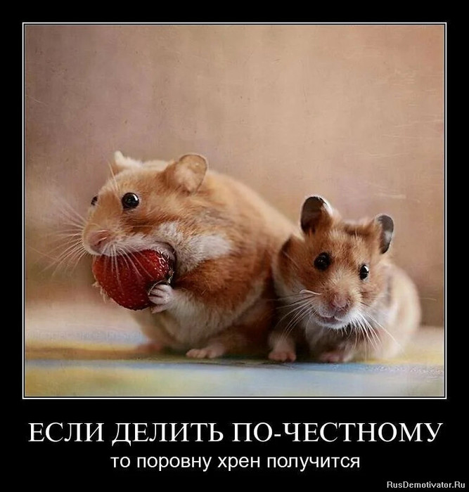4743317_i_1_ (667x700, 89Kb)