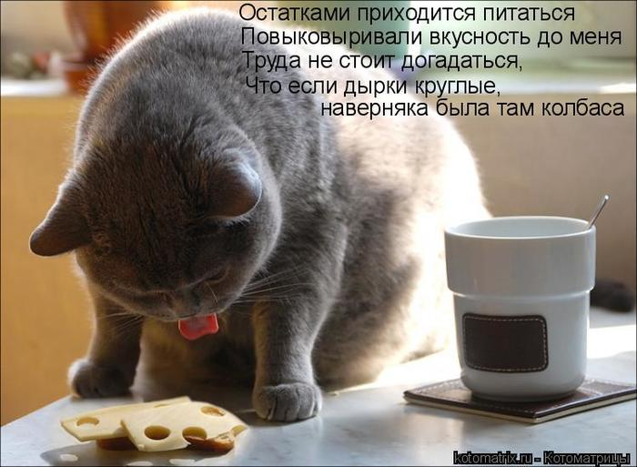 4743317_kotomatritsa_v (700x513, 54Kb)
