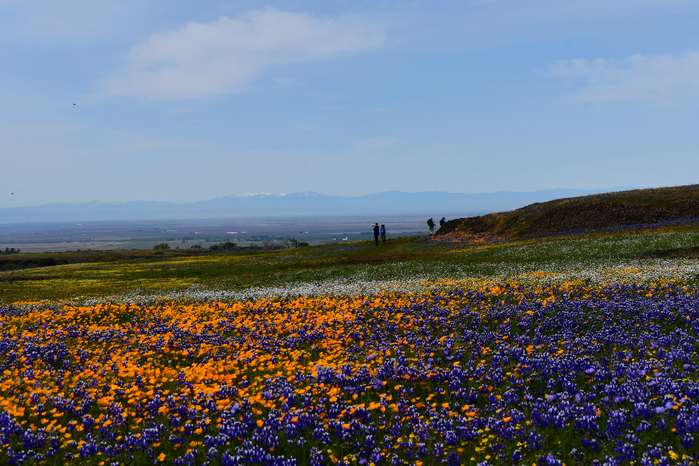 DSC_0107 (700x466, 514Kb)