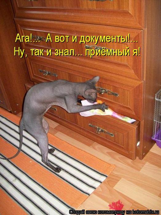 4743317_kotomatritsa_2_1 (524x700, 67Kb)