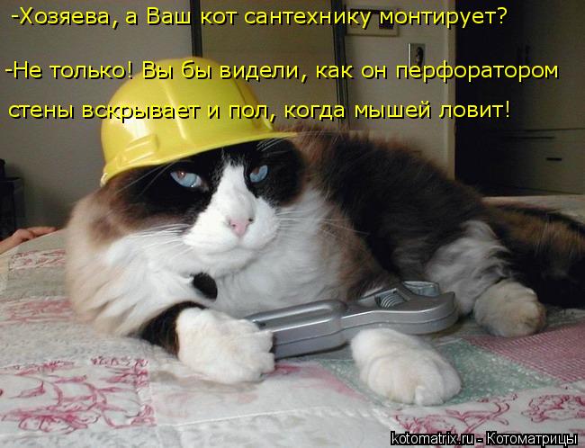 4743317_kotomatritsa_3 (650x498, 56Kb)