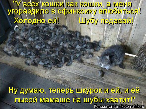 4743317_kotomatritsa_g (590x442, 69Kb)