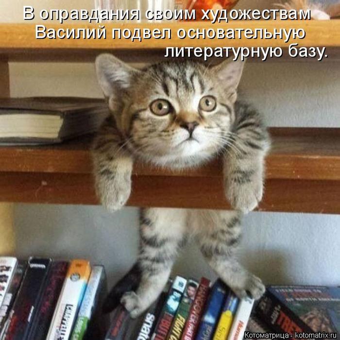 4743317_kotomatritsa_z (700x700, 73Kb)