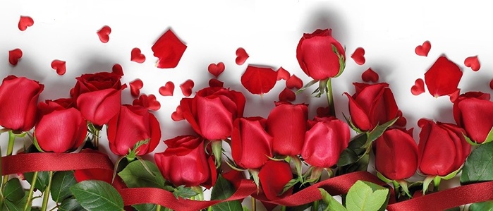 Roses_Petals_Red_482675 -  (700x299, 77Kb)