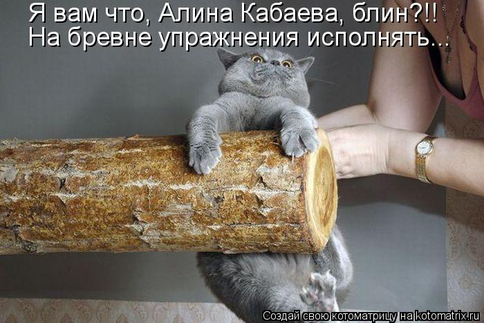 kotomatritsa_hU (700x468, 223Kb)