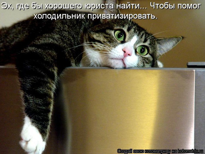 kotomatritsa_t (700x524, 346Kb)