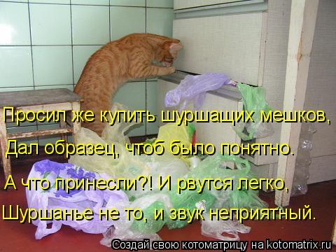 4743317_kotomatritsa_4 (480x360, 43Kb)
