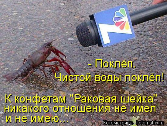 4743317_kotomatritsa_B (550x413, 69Kb)