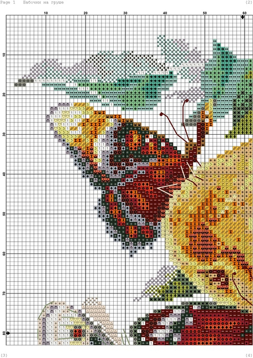 Бабочки на груше (Gamma)-001 (494x700, 460Kb)