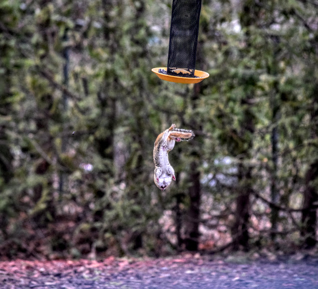 ma2 (635x578, 236Kb)