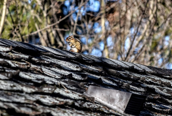 ma0 (700x473, 385Kb)