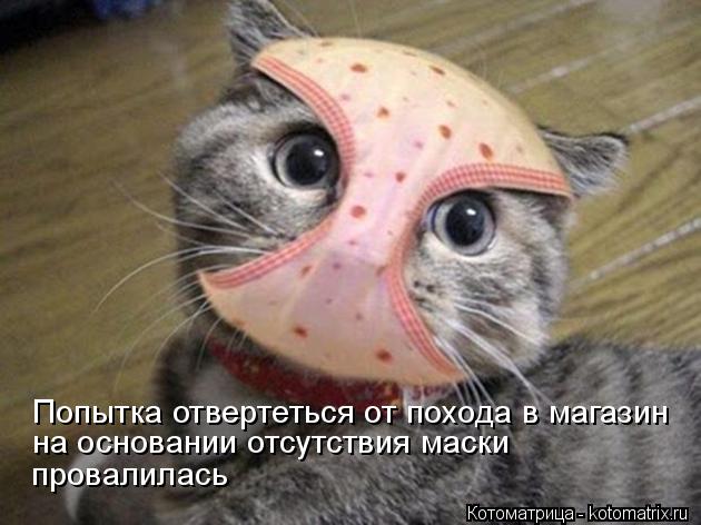 4743317_kotomatritsa_7_1 (630x472, 47Kb)