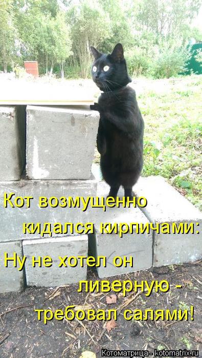 4743317_kotomatritsa_T_1 (395x700, 73Kb)