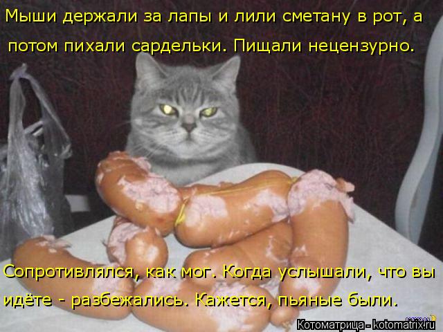 4743317_kotomatritsa_x (640x480, 57Kb)