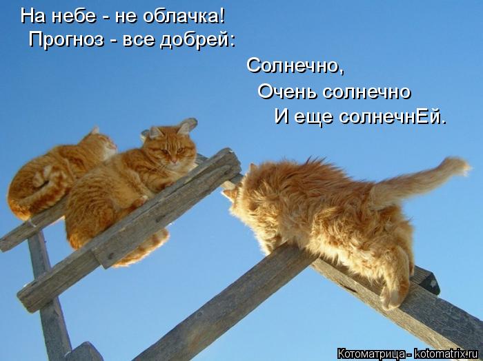 4743317_kotomatritsa_c (700x524, 48Kb)