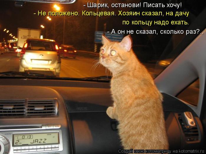 4743317_kotomatritsa_g (700x524, 56Kb)