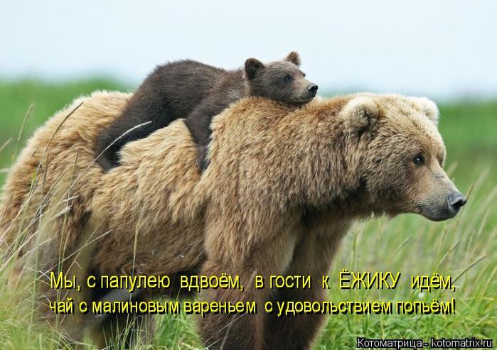 4743317_kotomatritsa_s_1 (700x493, 66Kb)