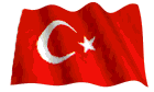 flag (140x84, 29Kb)
