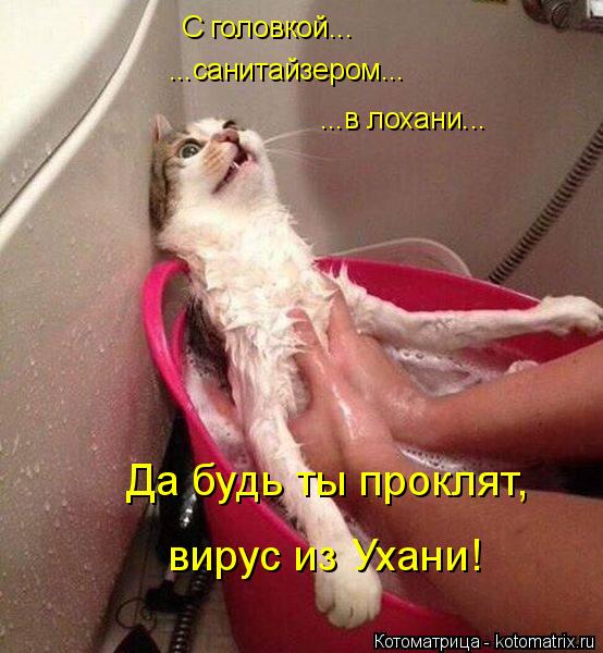 4743317_kotomatritsa_5 (554x600, 55Kb)