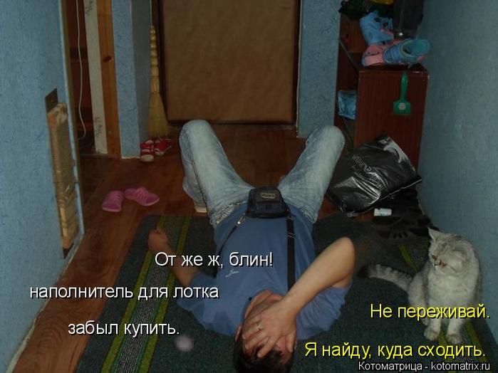 4743317_kotomatritsa_P_1 (700x524, 49Kb)