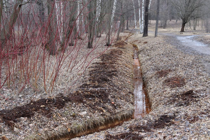 IMG_9081 (700x466, 450Kb)