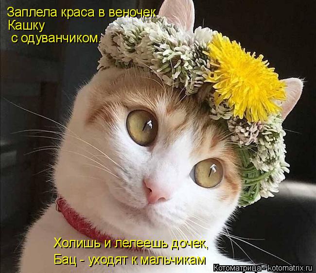 4743317_kotomatritsa_oq (650x562, 68Kb)