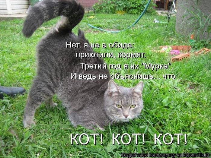 4743317_kotomatritsa_m (700x524, 95Kb)