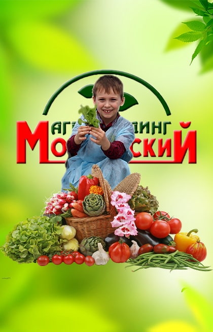 agroholding-moskovskij-shkolnaya-ehkskursiya (420x654, 291Kb)